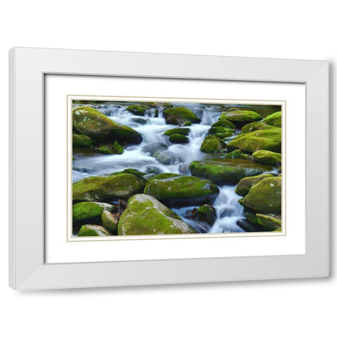 Water Falling over Boulders on Roaring Fork Motor Nature Trail White Modern Wood Framed Art Print with Double Matting by Miller, Anna