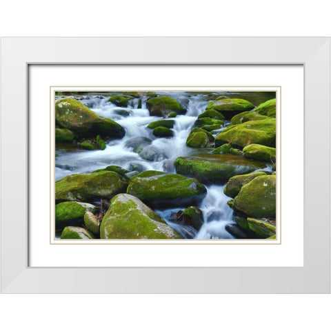 Water Falling over Boulders on Roaring Fork Motor Nature Trail White Modern Wood Framed Art Print with Double Matting by Miller, Anna