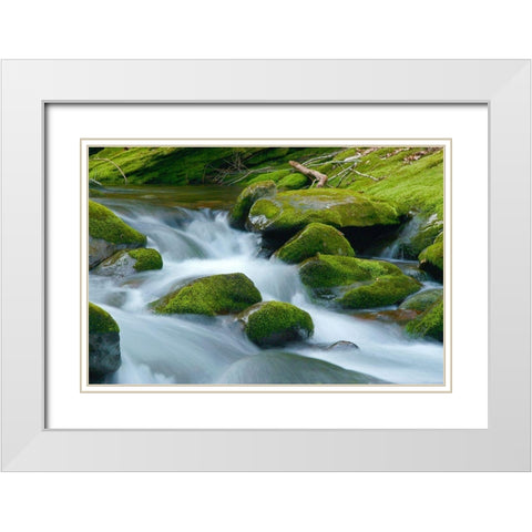 Water Falling over Boulders on Roaring Fork Motor Nature Trail White Modern Wood Framed Art Print with Double Matting by Miller, Anna
