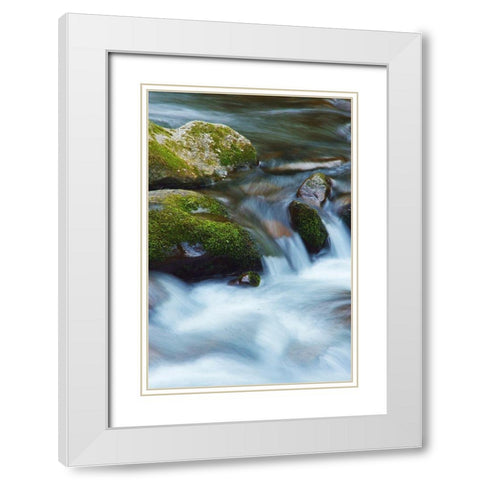 Water Falling over Boulders on Roaring Fork Motor Nature Trail White Modern Wood Framed Art Print with Double Matting by Miller, Anna