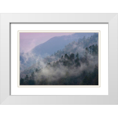 Mountain Clouds at Newfound Gap-Smoky Mountains National Park-Tennessee-USA White Modern Wood Framed Art Print with Double Matting by Miller, Anna