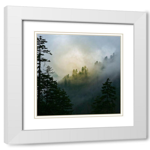 Mountain Clouds at Newfound Gap-Smoky Mountains National Park-Tennessee-USA White Modern Wood Framed Art Print with Double Matting by Miller, Anna