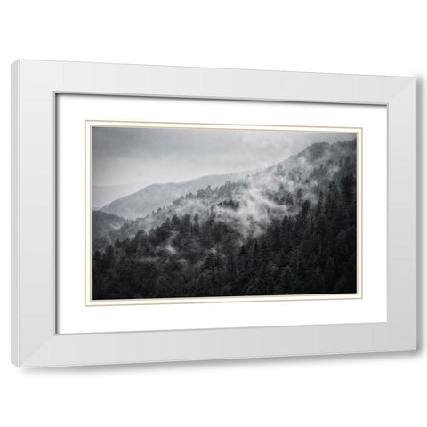 Mountain Clouds at Newfound Gap-Smoky Mountains National Park-Tennessee-USA White Modern Wood Framed Art Print with Double Matting by Miller, Anna