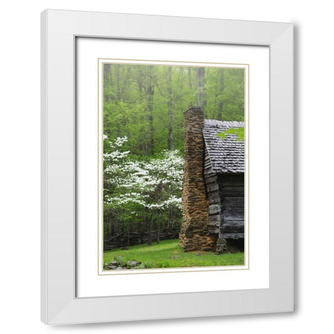 TN, Great Smoky Mts Log cabin and blooming trees White Modern Wood Framed Art Print with Double Matting by Flaherty, Dennis