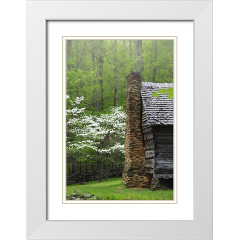 TN, Great Smoky Mts Log cabin and blooming trees White Modern Wood Framed Art Print with Double Matting by Flaherty, Dennis