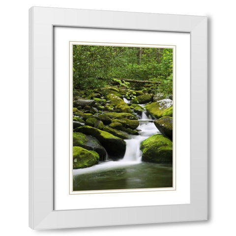 TN, Great Smoky Mts Stream cascades under bridge White Modern Wood Framed Art Print with Double Matting by Flaherty, Dennis