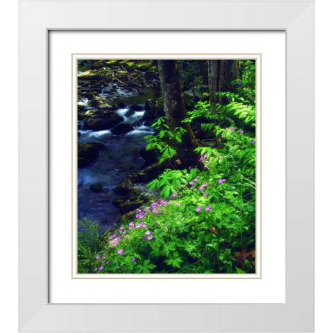 TN, flowers along a stream in The Great Smoky Mts White Modern Wood Framed Art Print with Double Matting by Talbot Frank, Christopher