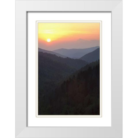 Tennessee, Great Smoky Mts Morton Overlook White Modern Wood Framed Art Print with Double Matting by Flaherty, Dennis