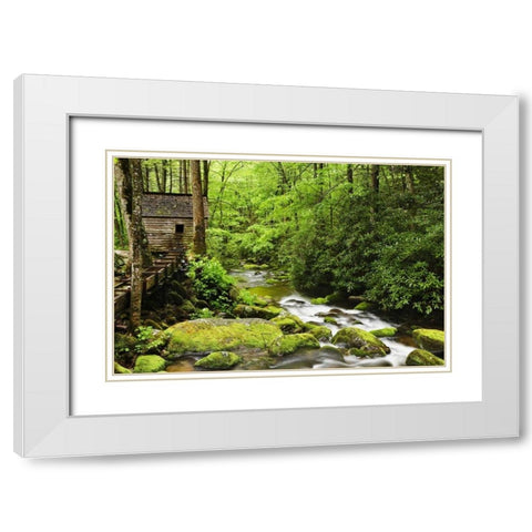 TN The Tub Mill along the Roaring Fork creek White Modern Wood Framed Art Print with Double Matting by Flaherty, Dennis