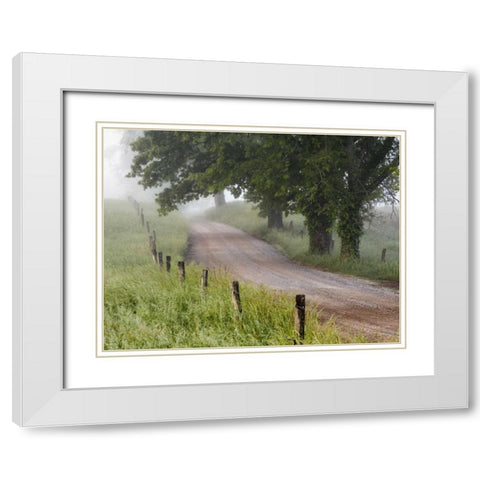 Tennessee, Great Smoky Mts A road in Cades Cove White Modern Wood Framed Art Print with Double Matting by Flaherty, Dennis