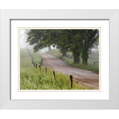 Tennessee, Great Smoky Mts A road in Cades Cove White Modern Wood Framed Art Print with Double Matting by Flaherty, Dennis