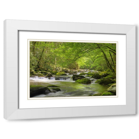 TN, Great Smoky Mts Cascading creek in spring White Modern Wood Framed Art Print with Double Matting by Flaherty, Dennis