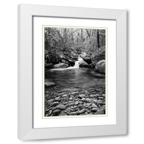 TN, Great Smoky Mts Cascading creek and pool White Modern Wood Framed Art Print with Double Matting by Flaherty, Dennis