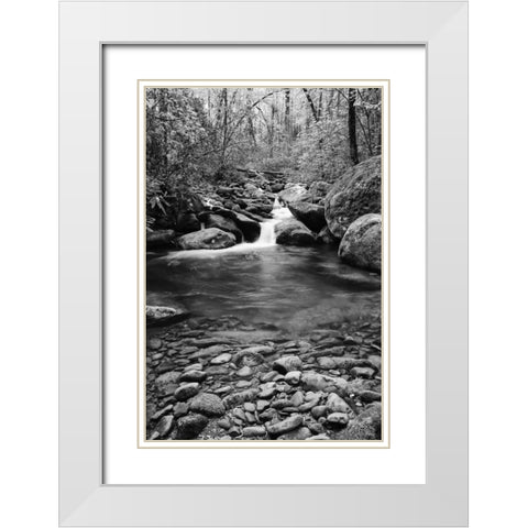 TN, Great Smoky Mts Cascading creek and pool White Modern Wood Framed Art Print with Double Matting by Flaherty, Dennis