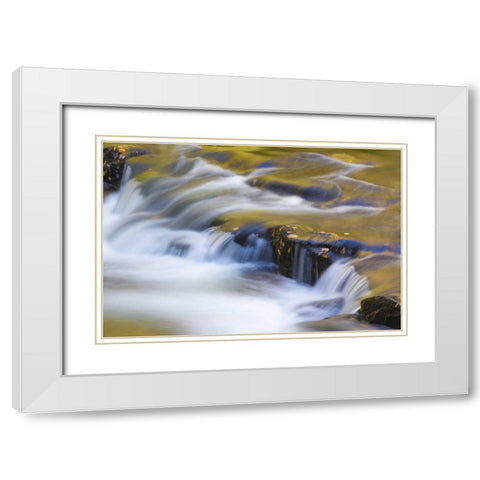 TN, Cherokee NF Reflections on North River White Modern Wood Framed Art Print with Double Matting by Paulson, Don