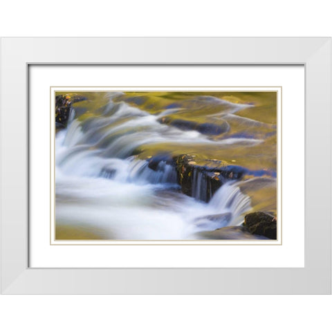 TN, Cherokee NF Reflections on North River White Modern Wood Framed Art Print with Double Matting by Paulson, Don