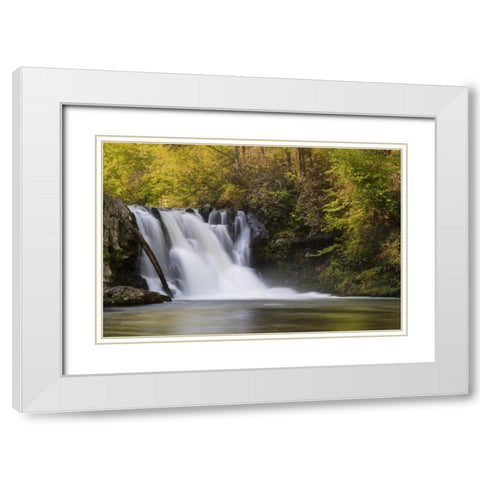 Tennessee, Great Smoky Mts Abrams Falls White Modern Wood Framed Art Print with Double Matting by Grall, Don