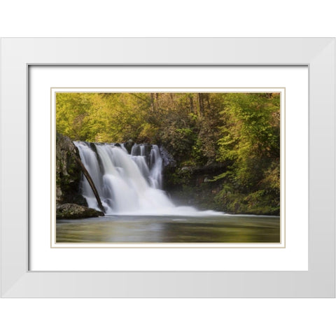 Tennessee, Great Smoky Mts Abrams Falls White Modern Wood Framed Art Print with Double Matting by Grall, Don