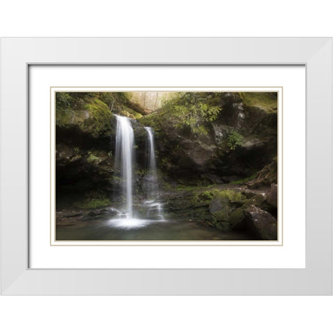 Tennessee, Great Smoky Mts Grotto Falls scenic White Modern Wood Framed Art Print with Double Matting by Grall, Don