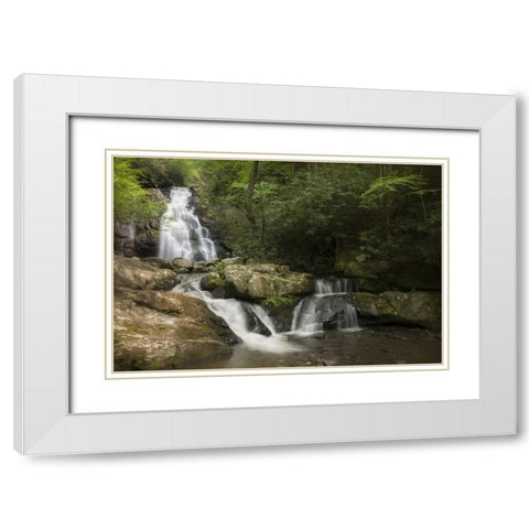 TN, Great Smoky Mts Indian Flats Falls landscape White Modern Wood Framed Art Print with Double Matting by Grall, Don