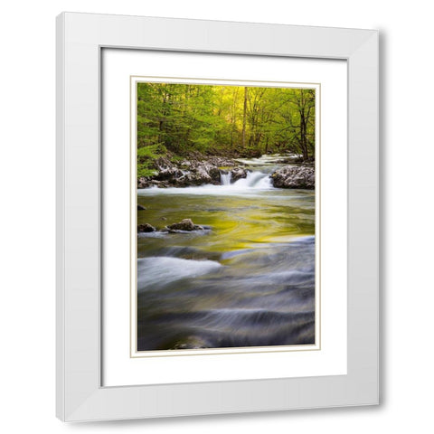 Tennessee Sparks Lane in the spring at Cades Cove White Modern Wood Framed Art Print with Double Matting by Wells, Joanne