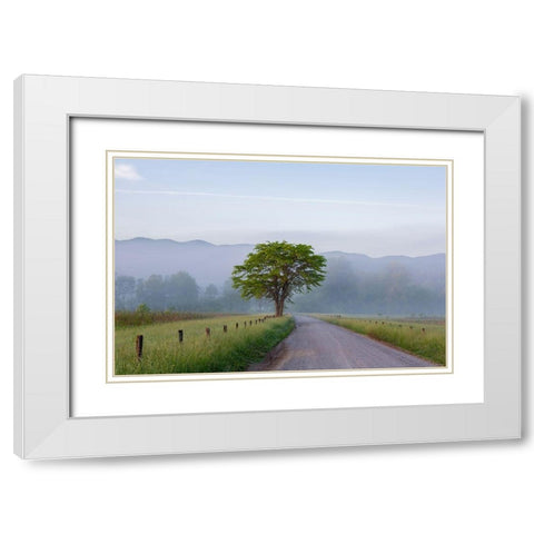 Hyatt Lane in fog Cades Cove Great Smoky Mountains National Park-Tennessee White Modern Wood Framed Art Print with Double Matting by Day, Richard and Susan