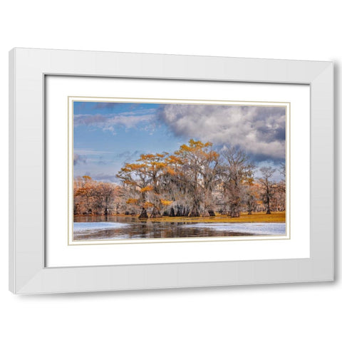 Bald cypress trees in autumn Caddo Lake-Uncertain-Texas White Modern Wood Framed Art Print with Double Matting by Jones, Adam