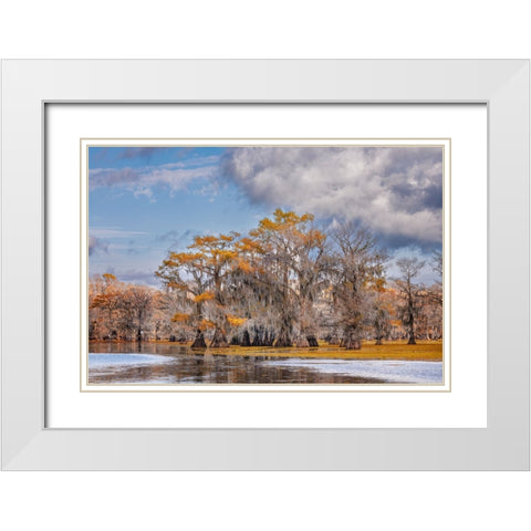 Bald cypress trees in autumn Caddo Lake-Uncertain-Texas White Modern Wood Framed Art Print with Double Matting by Jones, Adam