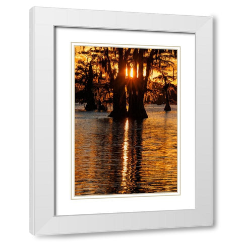 Bald cypress trees silhouetted at sunset Caddo Lake-Uncertain-Texas White Modern Wood Framed Art Print with Double Matting by Jones, Adam