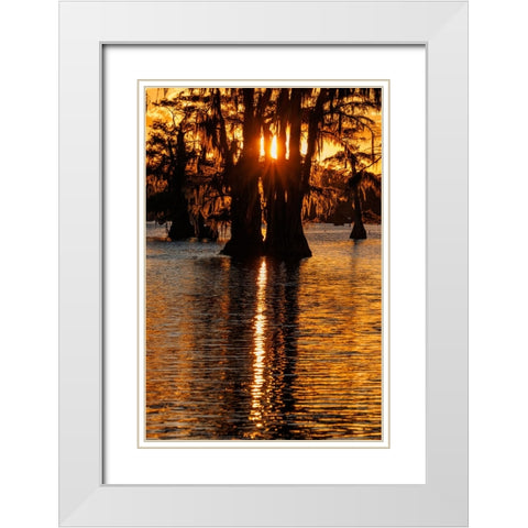 Bald cypress trees silhouetted at sunset Caddo Lake-Uncertain-Texas White Modern Wood Framed Art Print with Double Matting by Jones, Adam
