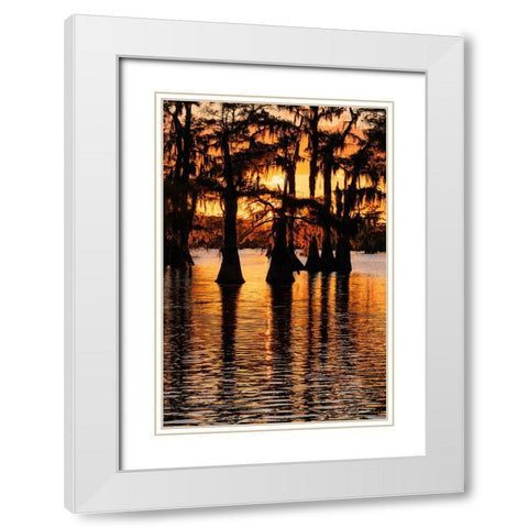 Bald cypress trees silhouetted at sunset Caddo Lake-Uncertain-Texas White Modern Wood Framed Art Print with Double Matting by Jones, Adam