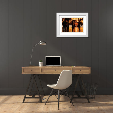 Bald cypress trees silhouetted at sunset Caddo Lake-Uncertain-Texas White Modern Wood Framed Art Print with Double Matting by Jones, Adam