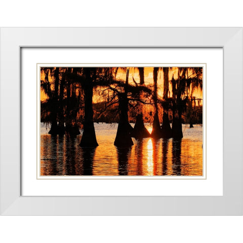 Bald cypress trees silhouetted at sunset Caddo Lake-Uncertain-Texas White Modern Wood Framed Art Print with Double Matting by Jones, Adam