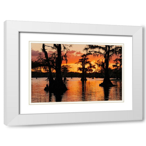 Bald cypress trees silhouetted at sunset Caddo Lake-Uncertain-Texas White Modern Wood Framed Art Print with Double Matting by Jones, Adam