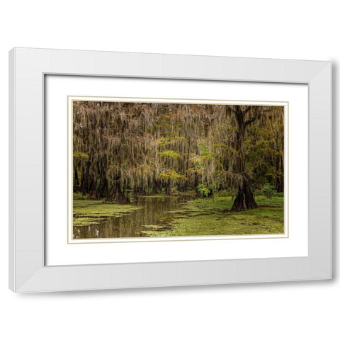 Cypress trees and Spanish moss lining shoreline of Caddo Lake-Uncertain-Texas White Modern Wood Framed Art Print with Double Matting by Jones, Adam
