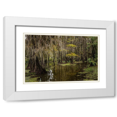 Cypress trees and Spanish moss lining shoreline of Caddo Lake-Uncertain-Texas White Modern Wood Framed Art Print with Double Matting by Jones, Adam