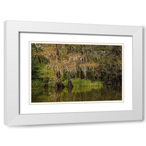 Cypress trees and Spanish moss lining shoreline of Caddo Lake-Uncertain-Texas White Modern Wood Framed Art Print with Double Matting by Jones, Adam