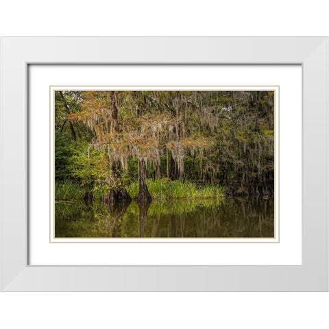 Cypress trees and Spanish moss lining shoreline of Caddo Lake-Uncertain-Texas White Modern Wood Framed Art Print with Double Matting by Jones, Adam