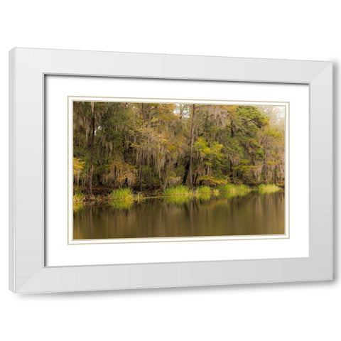 Cypress trees and Spanish moss lining shoreline of Caddo Lake-Uncertain-Texas White Modern Wood Framed Art Print with Double Matting by Jones, Adam