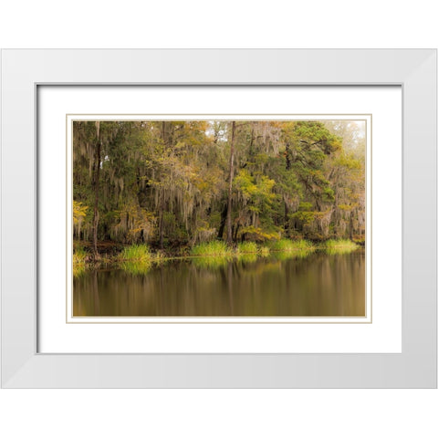 Cypress trees and Spanish moss lining shoreline of Caddo Lake-Uncertain-Texas White Modern Wood Framed Art Print with Double Matting by Jones, Adam