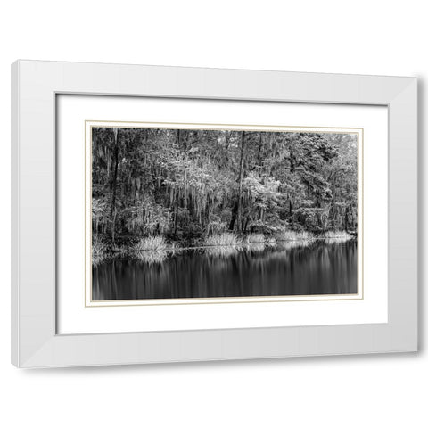 Cypress trees and Spanish moss lining shoreline of Caddo Lake-Uncertain-Texas White Modern Wood Framed Art Print with Double Matting by Jones, Adam