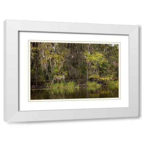 Cypress trees and Spanish moss lining shoreline of Caddo Lake-Uncertain-Texas White Modern Wood Framed Art Print with Double Matting by Jones, Adam
