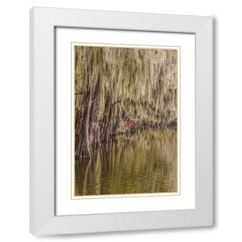 Cypress trees and Spanish moss lining shoreline of Caddo Lake-Uncertain-Texas White Modern Wood Framed Art Print with Double Matting by Jones, Adam