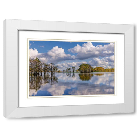 Bald cypress trees in autumn reflected on lake Caddo Lake-Uncertain-Texas White Modern Wood Framed Art Print with Double Matting by Jones, Adam