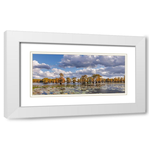 Bald cypress trees in autumn and lily-ads Caddo Lake-Uncertain-Texas White Modern Wood Framed Art Print with Double Matting by Jones, Adam