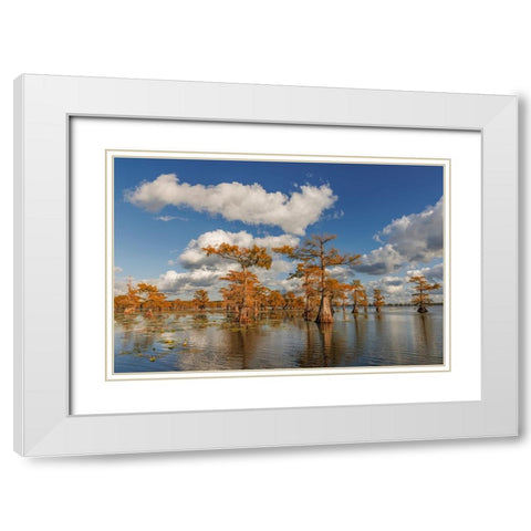 Bald cypress trees in autumn reflected on lake Caddo Lake-Uncertain-Texas White Modern Wood Framed Art Print with Double Matting by Jones, Adam