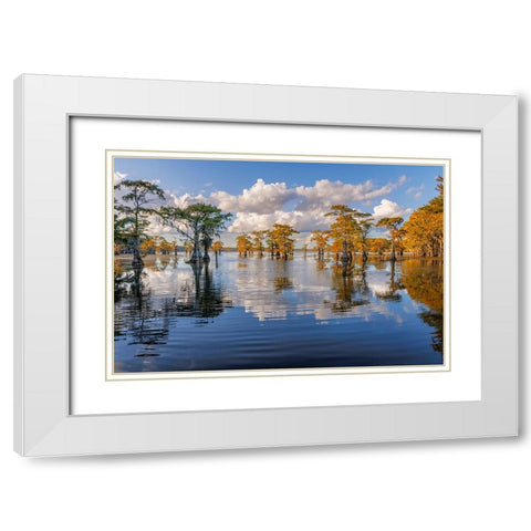 Bald cypress trees in autumn reflected on lake Caddo Lake-Uncertain-Texas White Modern Wood Framed Art Print with Double Matting by Jones, Adam