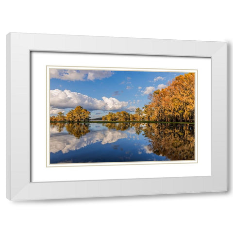 Bald cypress trees in autumn reflected on lake Caddo Lake-Uncertain-Texas White Modern Wood Framed Art Print with Double Matting by Jones, Adam