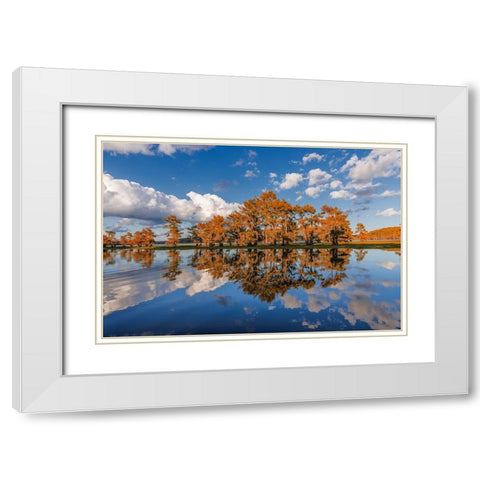 Bald cypress trees in autumn reflected on lake Caddo Lake-Uncertain-Texas White Modern Wood Framed Art Print with Double Matting by Jones, Adam