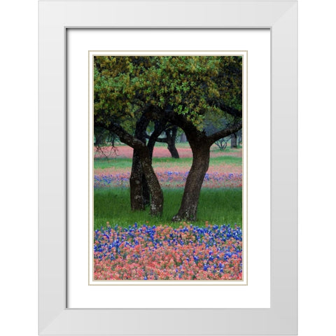 TX, Hill Country, Texas flowers and Dancing Trees White Modern Wood Framed Art Print with Double Matting by Rotenberg, Nancy